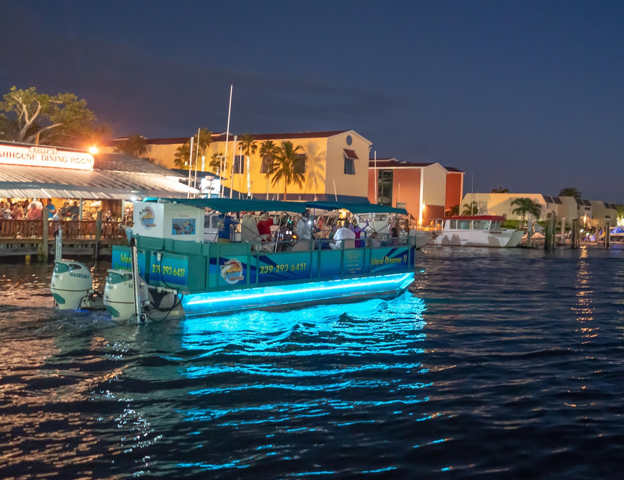 Boat, river, nature — Discover the Advanced Features of the Kaleidescape Strato Player