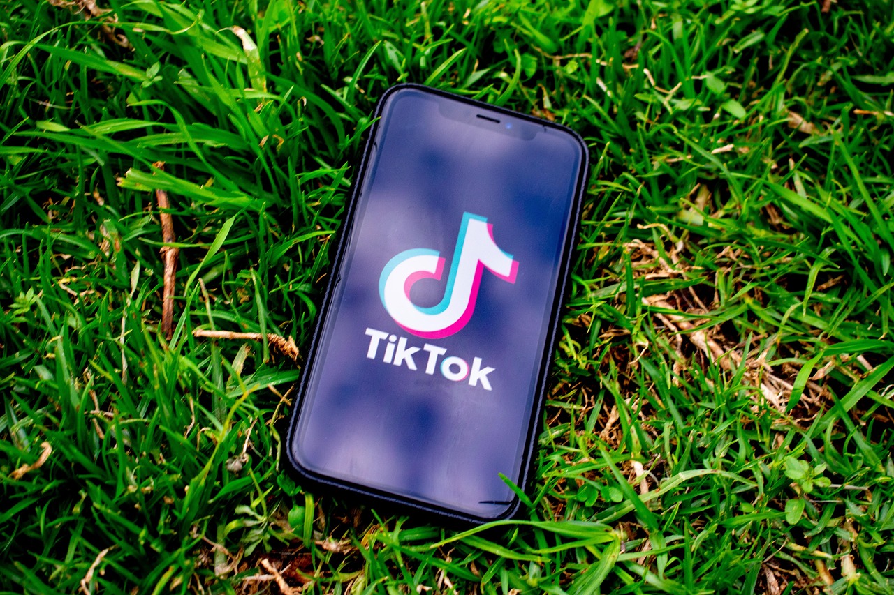 Tiktok, social media, app — "Innovative Ideas to Skyrocket Your Instagram Follower Count"