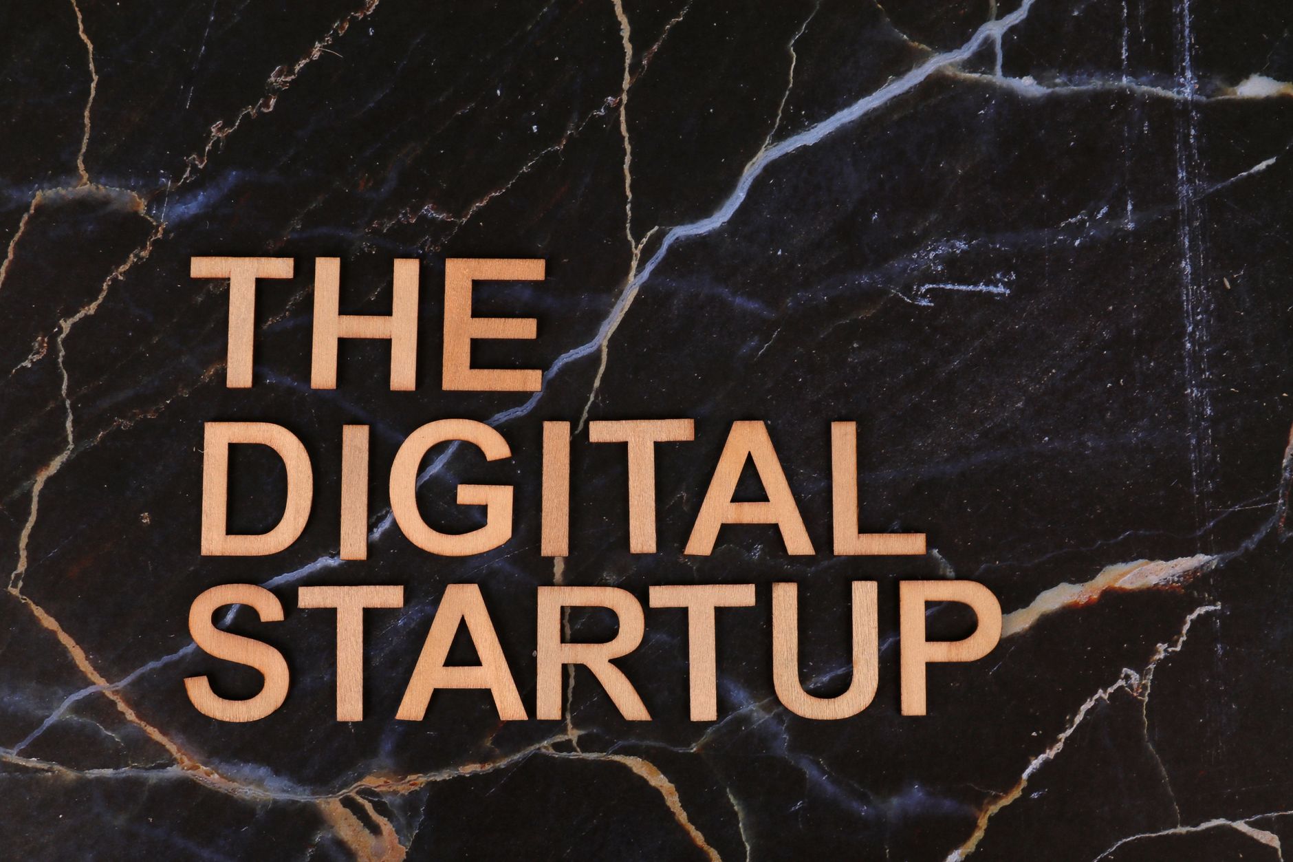D3 Startup Challenge